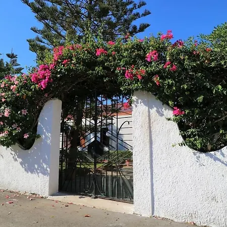 Flora: Un'oasi A 100 M Dal Mare בית נופש