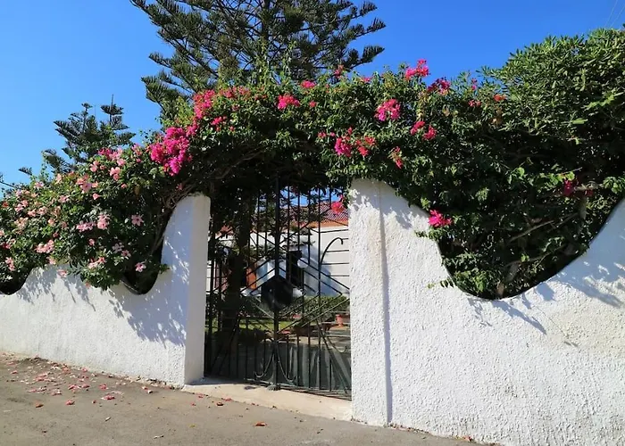 Flora: Un'oasi A 100 M Dal Mare בית נופש